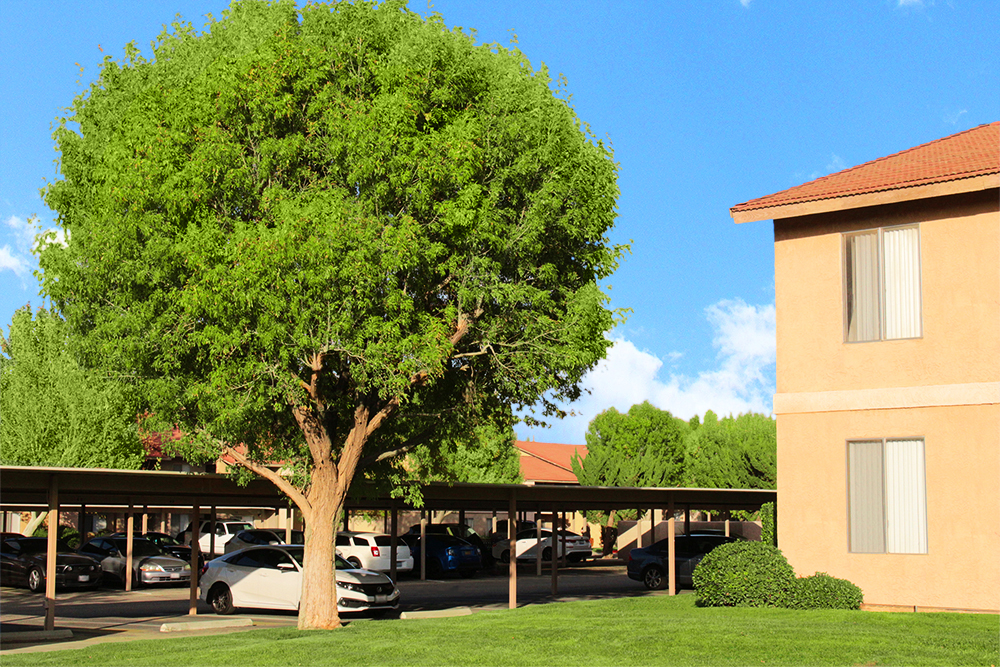 This image displays swimming pool photo of Ridgeview Village Apartments